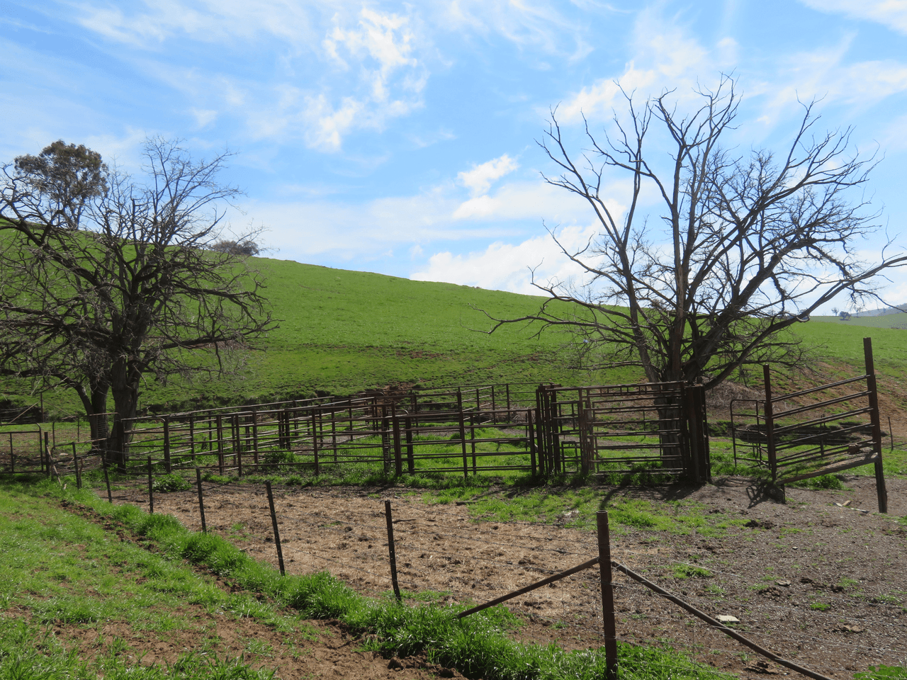 Lot 128 Burra Road, GUNDAGAI, NSW 2722