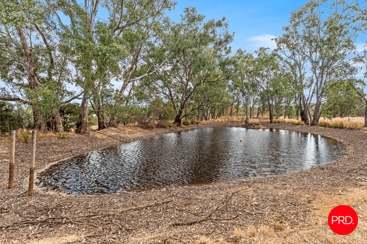 159 Red Tank Road, EMU CREEK, VIC 3551