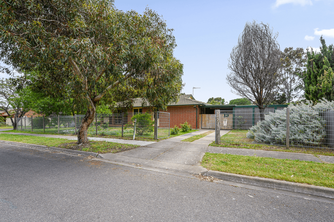 43 Workara Terrace, MORPHETT VALE, SA 5162