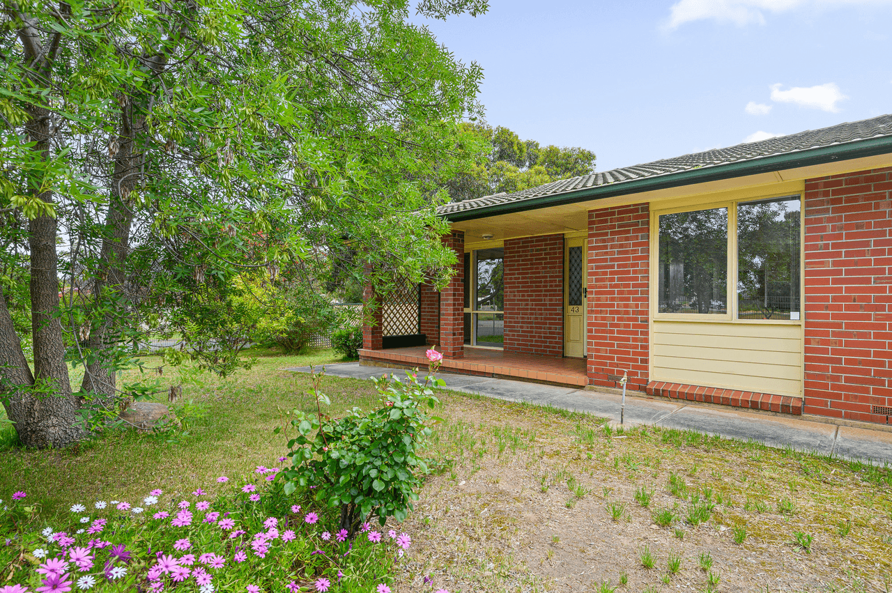 43 Workara Terrace, MORPHETT VALE, SA 5162