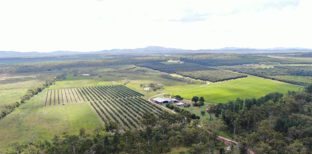 1611 Mareeba Dimbulah Road, Arriga, QLD 4880