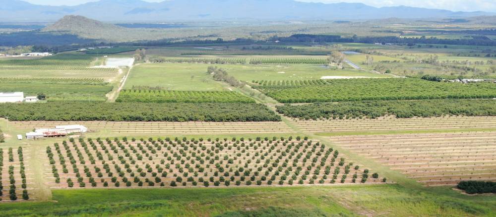 1611 Mareeba Dimbulah Road, Arriga, QLD 4880