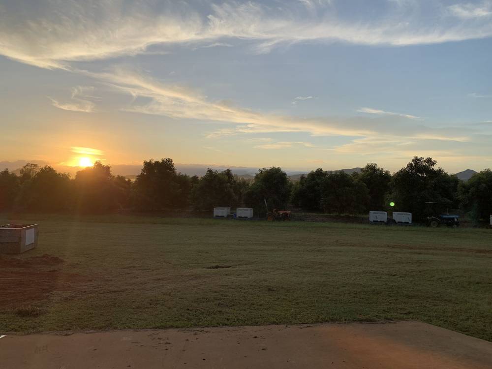 1611 Mareeba Dimbulah Road, Arriga, QLD 4880