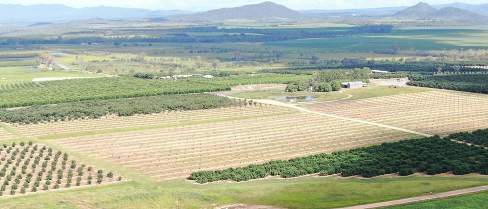 1611 Mareeba Dimbulah Road, Arriga, QLD 4880