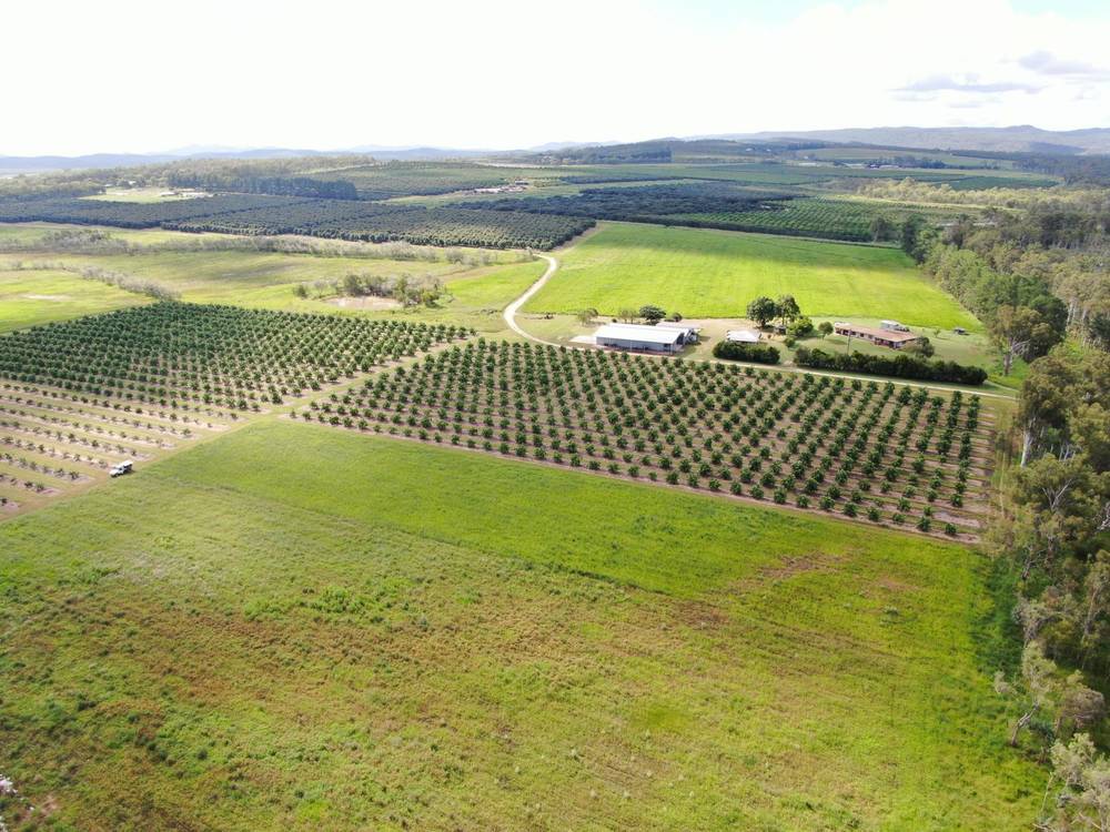 1611 Mareeba Dimbulah Road, Arriga, QLD 4880