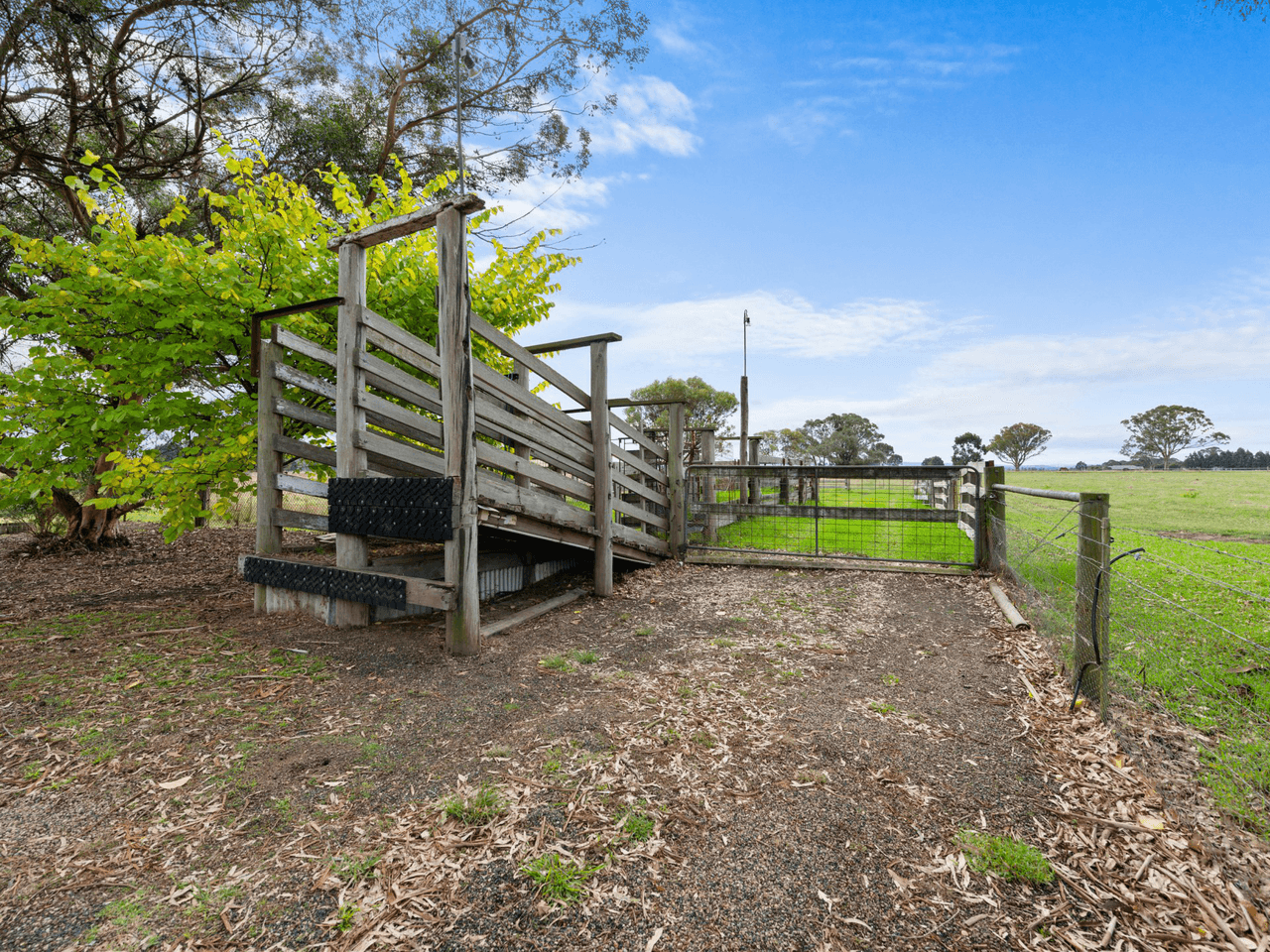 885 Forge Creek Road, FORGE CREEK, VIC 3875