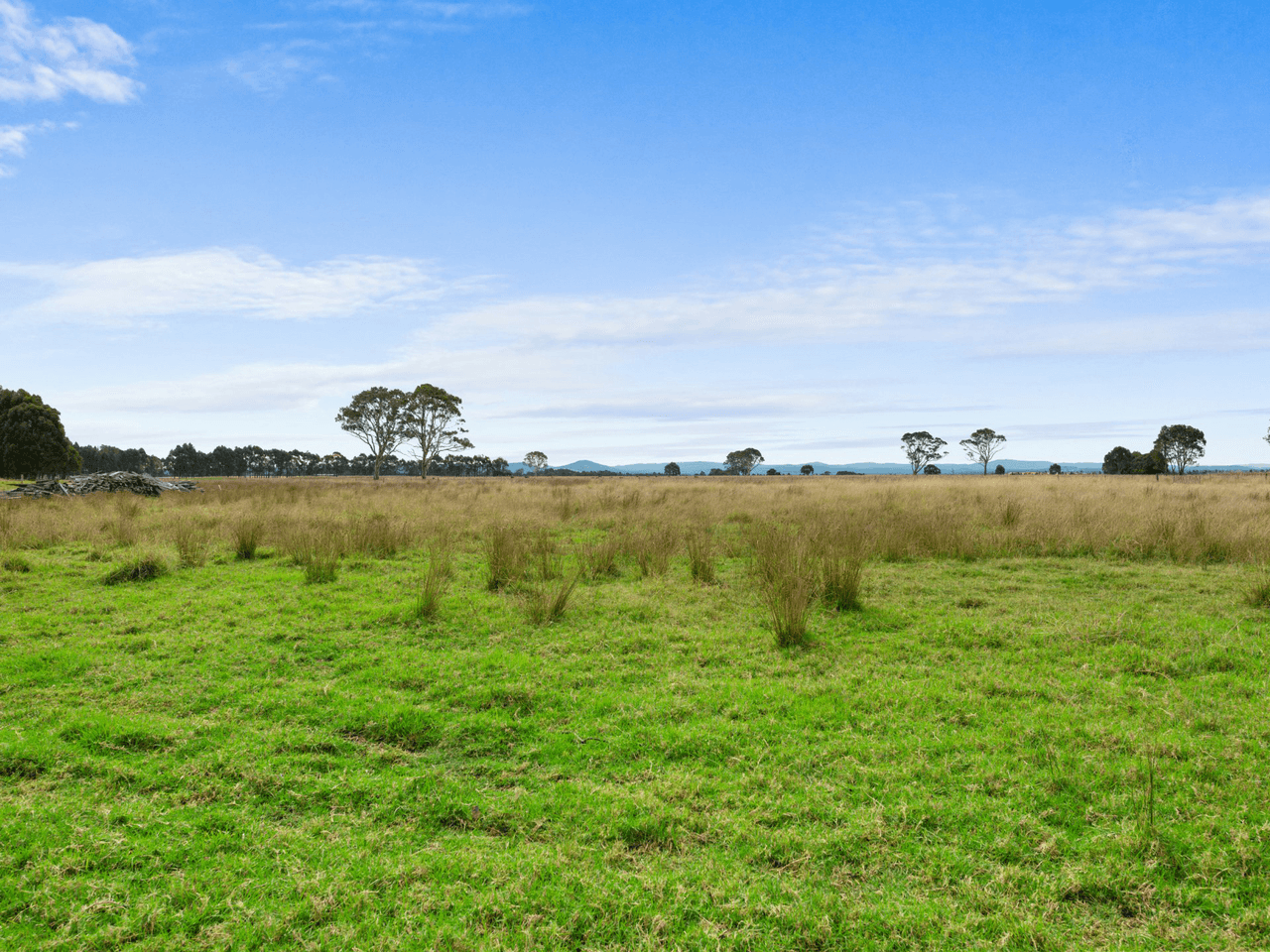 885 Forge Creek Road, FORGE CREEK, VIC 3875