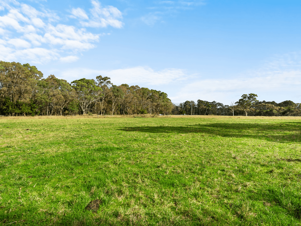 885 Forge Creek Road, FORGE CREEK, VIC 3875