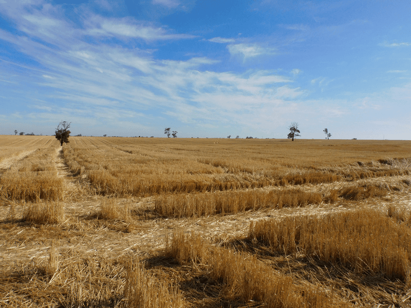 Proposed Lot Langley Road, BORDERTOWN, SA 5268