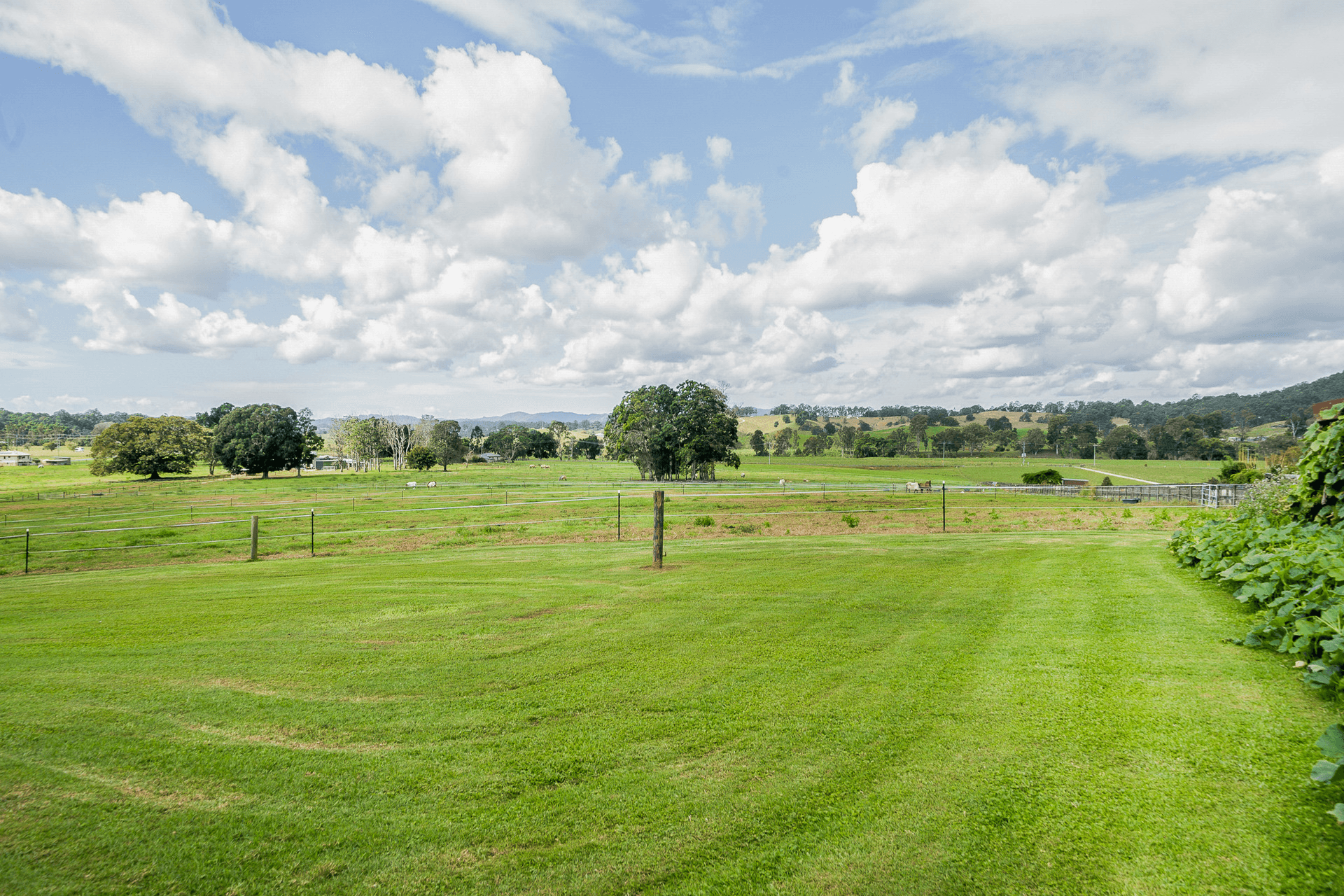 522 Kyogle Road, Byangum, NSW 2484