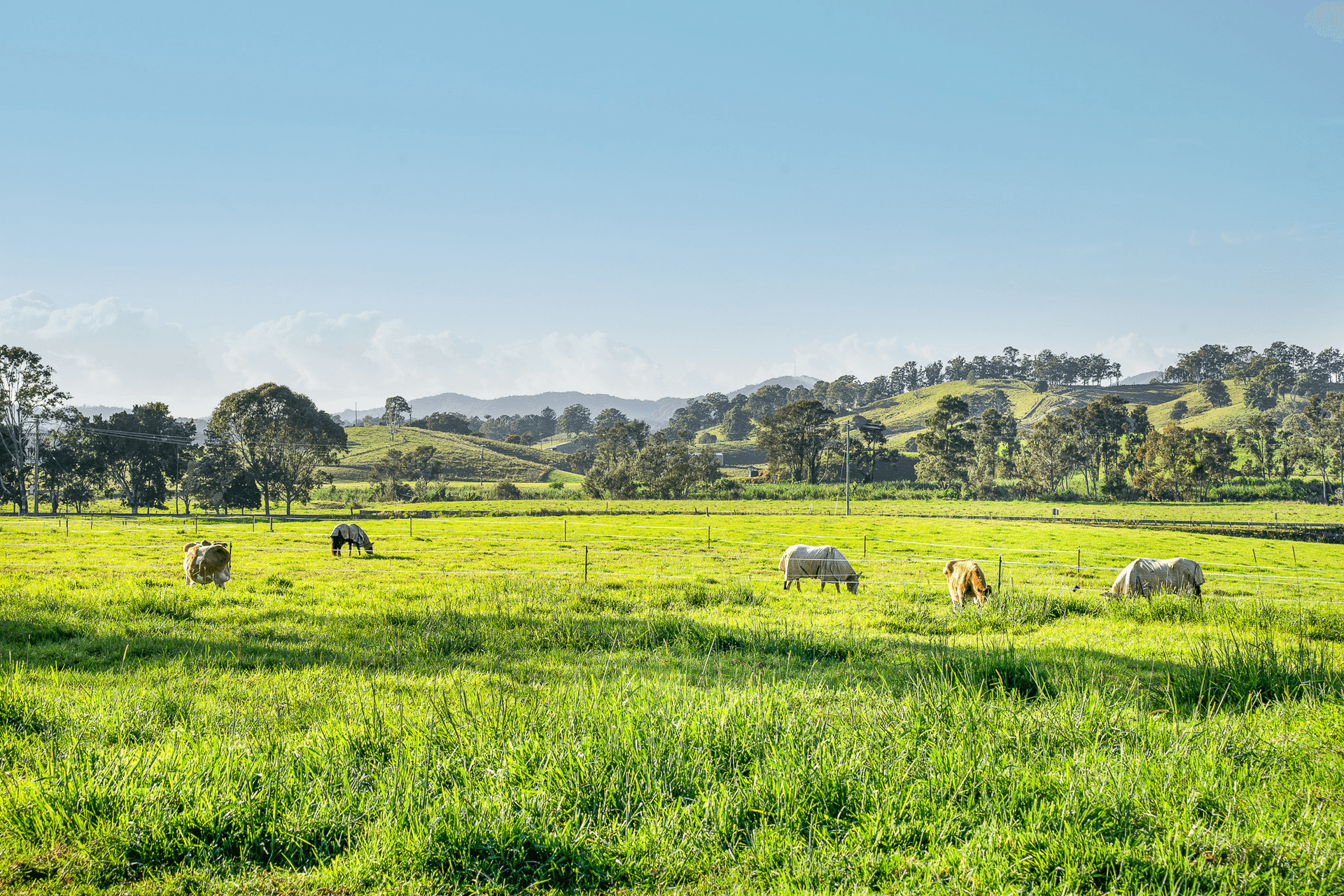 522 Kyogle Road, Byangum, NSW 2484