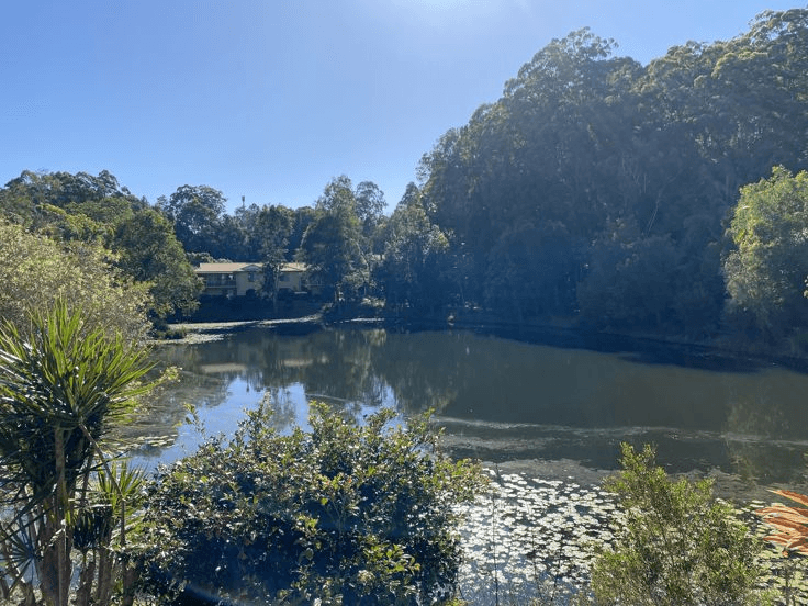 16 Lakeside Drive, MURWILLUMBAH, NSW 2484