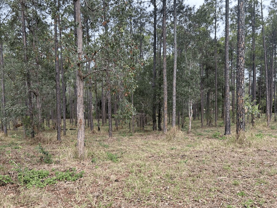 Lot 86 Arborfour Road, GLENWOOD, QLD 4570