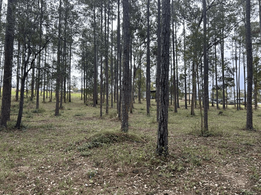 Lot 86 Arborfour Road, GLENWOOD, QLD 4570