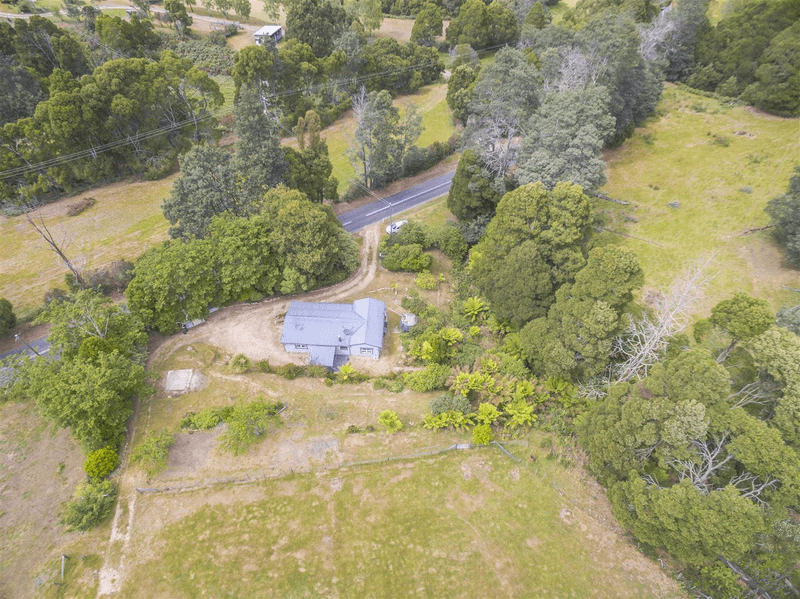 27742 Tasman Highway, Pyengana, TAS 7216