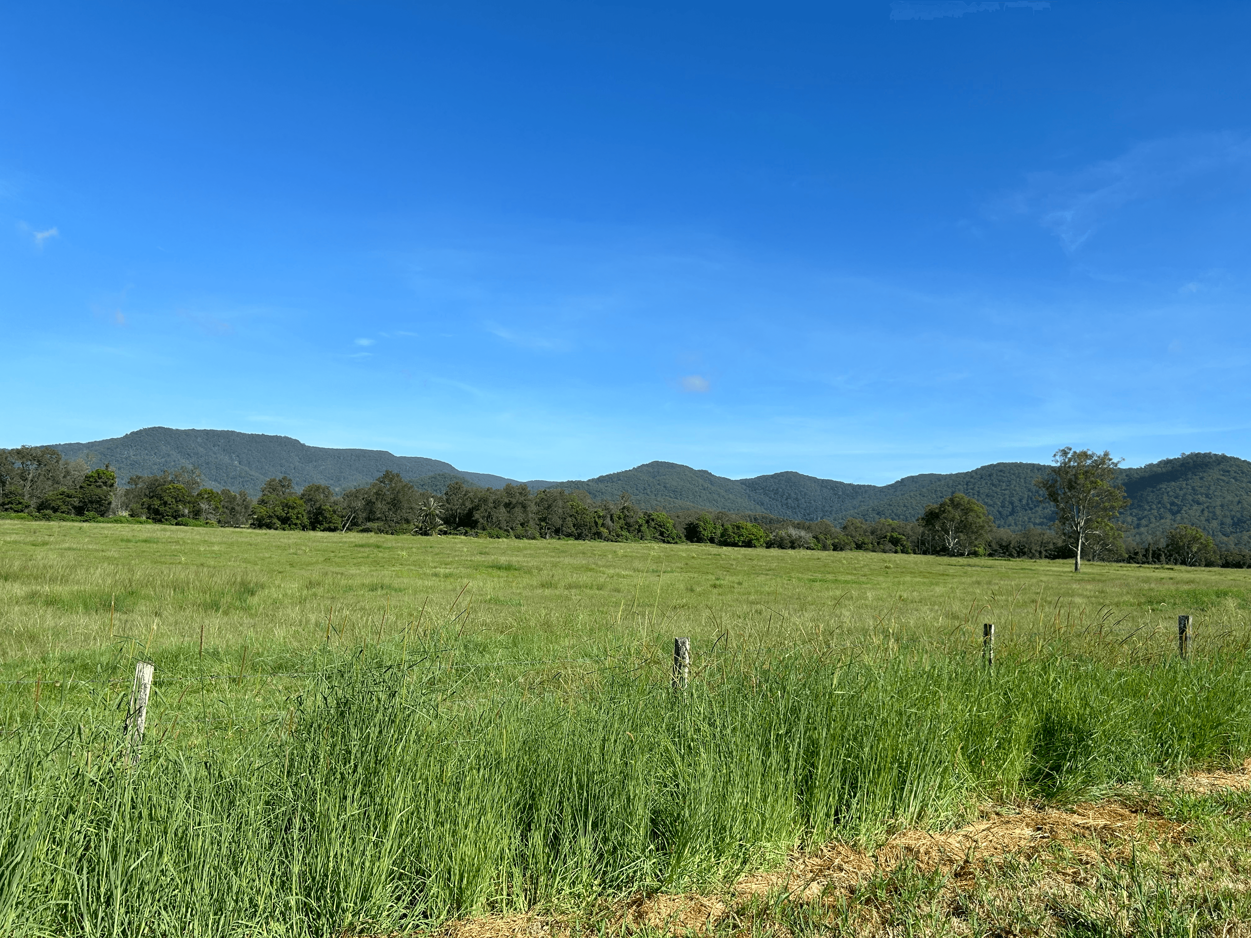 Stony Creek Road, STONY CREEK, QLD 4514