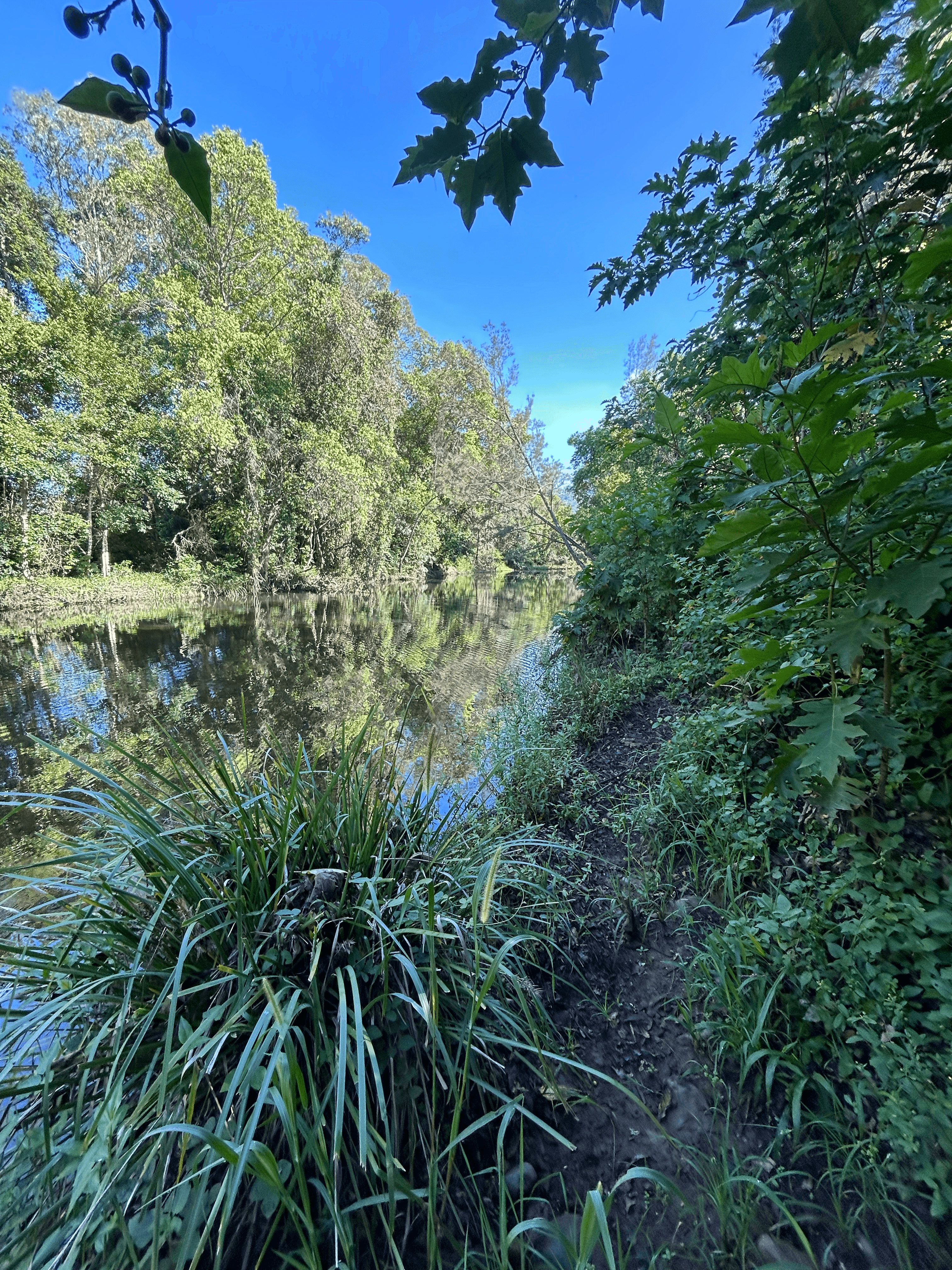 Stony Creek Road, STONY CREEK, QLD 4514