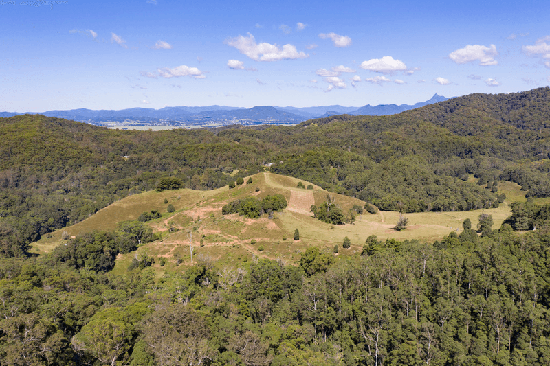 766 Urliup Road, URLIUP, NSW 2484