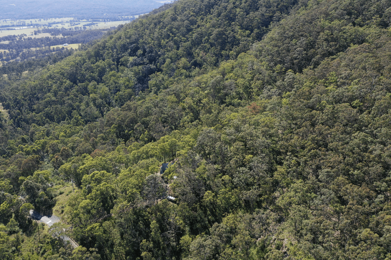 273 Moonabung Road, VACY, NSW 2421