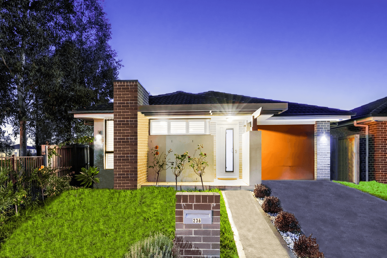 236 Ridgeline Drive, THE PONDS, NSW 2769