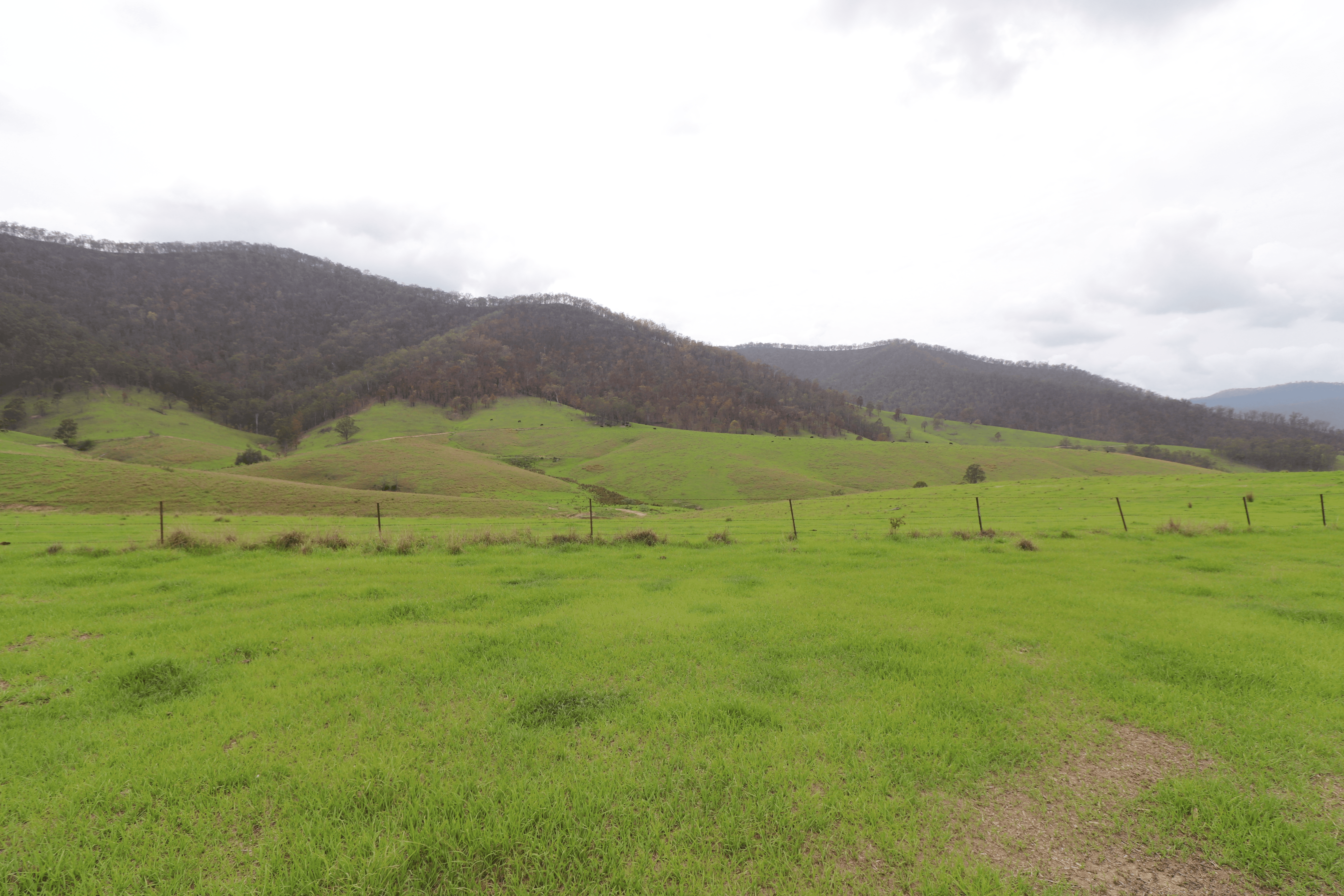 Lot 14/7986 Kempsey Road, Lower Creek, NSW 2440