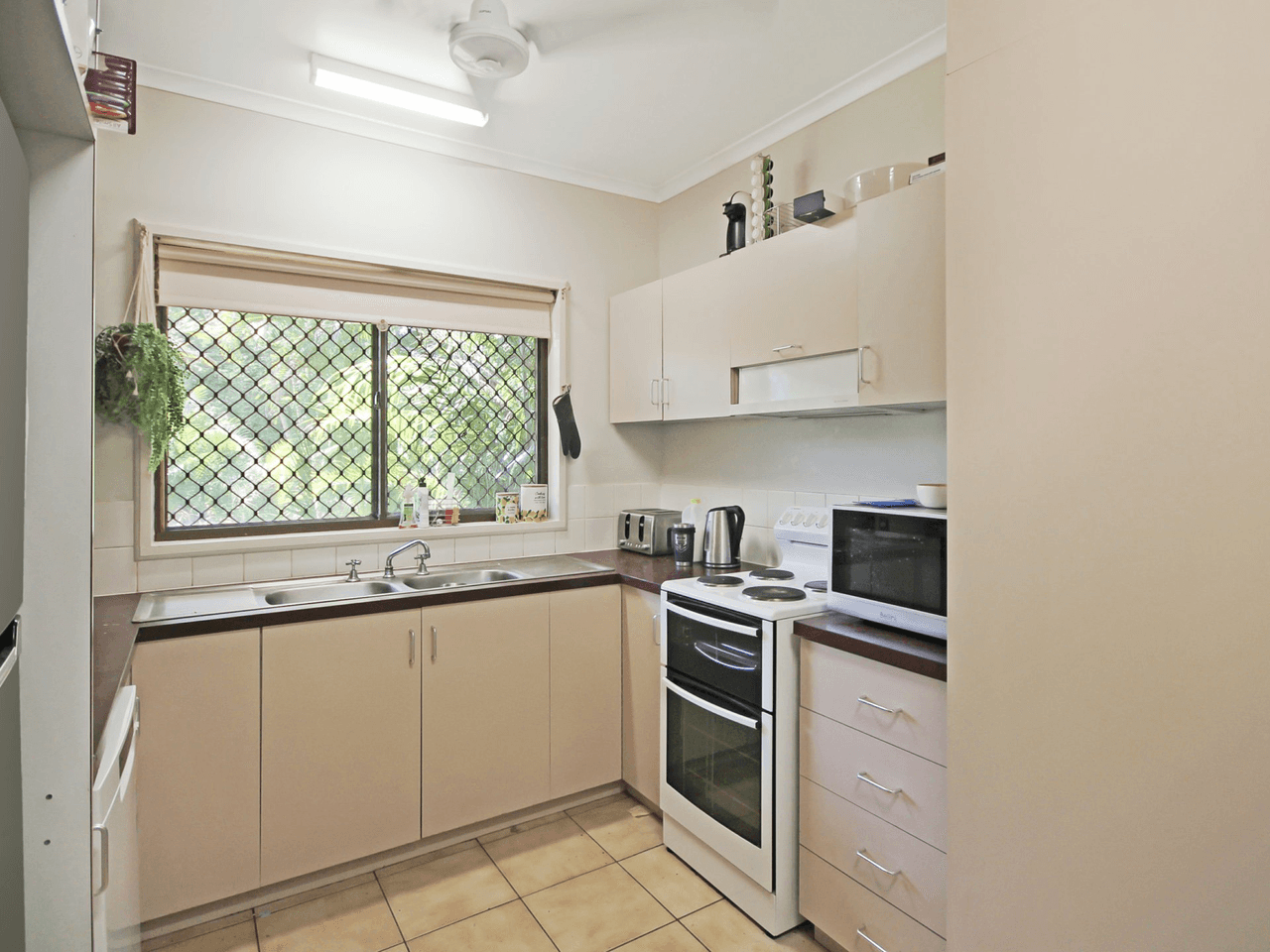 11 Kurrajong Court, KATHERINE, NT 0850