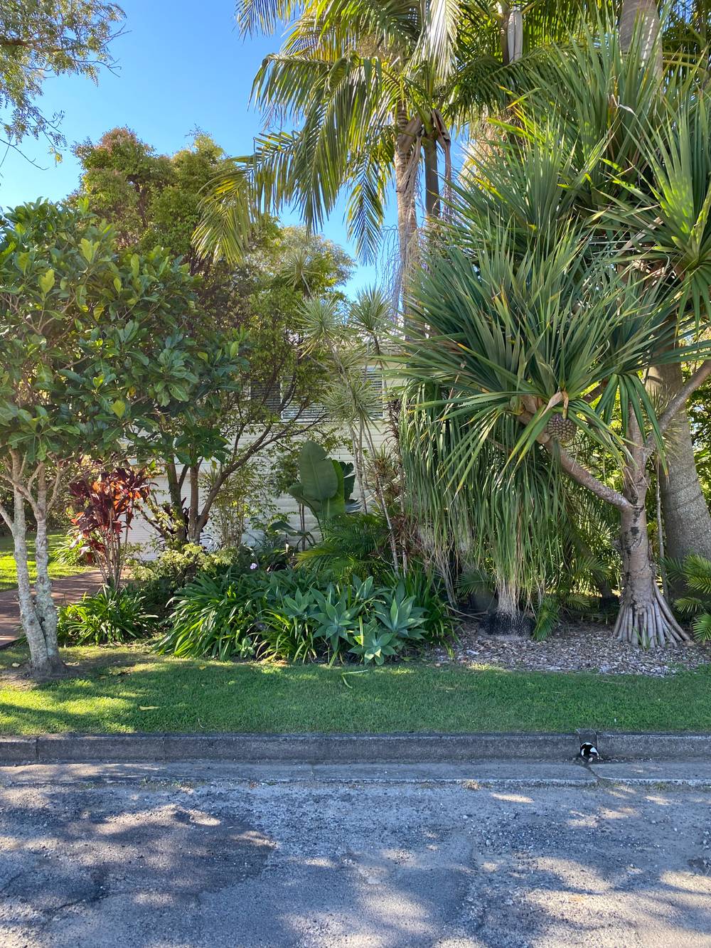 5 Hogues Lane, MACLEAN, NSW 2463