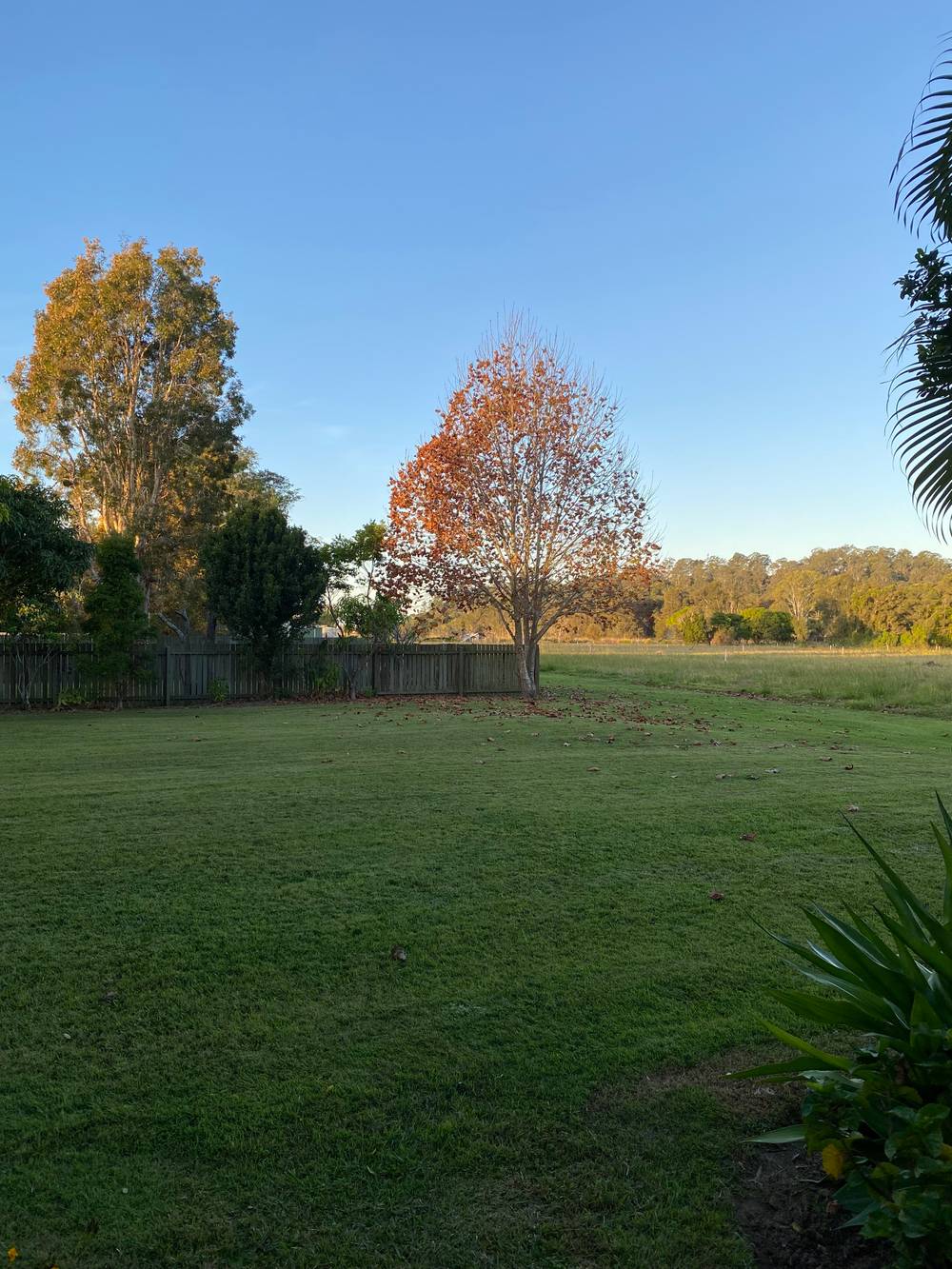 5 Hogues Lane, MACLEAN, NSW 2463