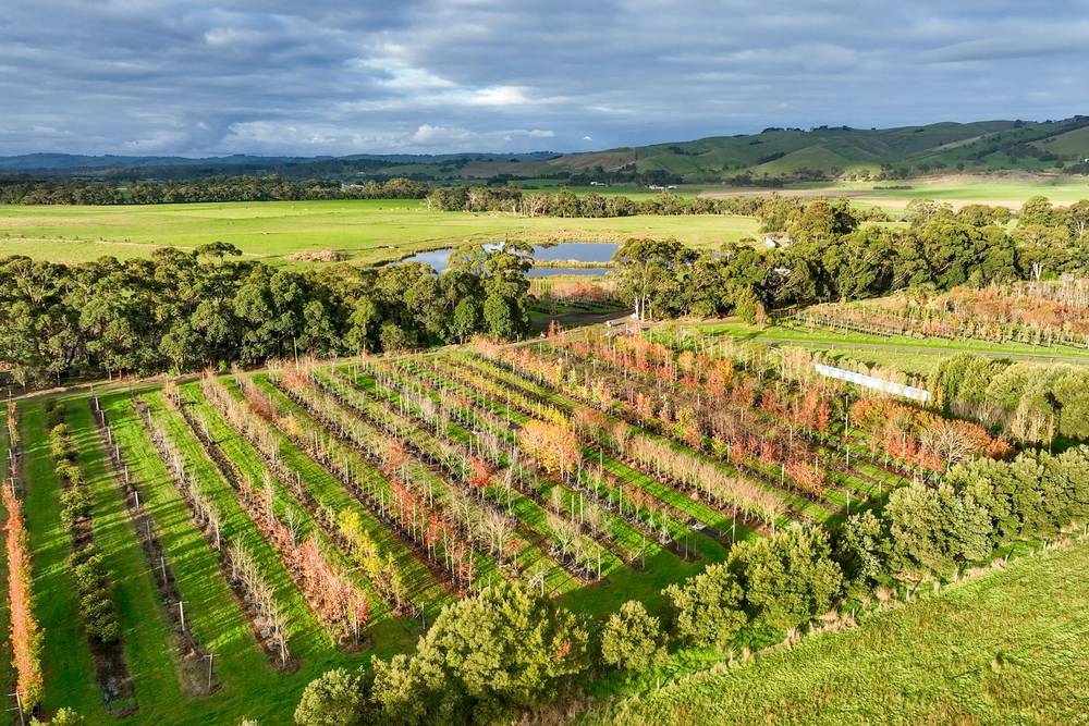 347 McKenzie Road, Glen Forbes, VIC 3990