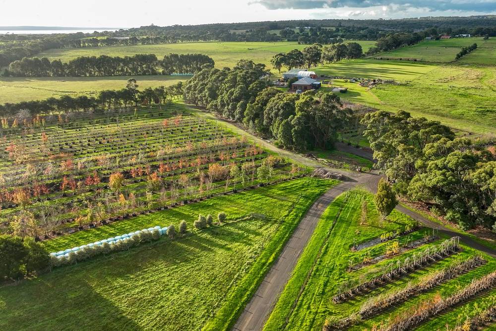 347 McKenzie Road, Glen Forbes, VIC 3990