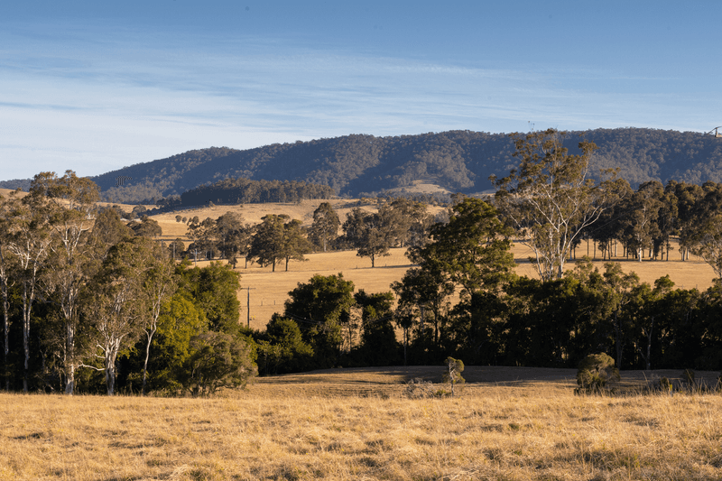 1221 Manning Hill Road, BUNYAH, NSW 2429