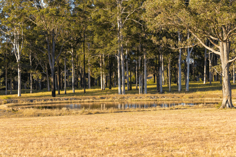 1221 Manning Hill Road, BUNYAH, NSW 2429