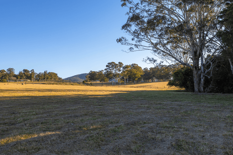 1221 Manning Hill Road, BUNYAH, NSW 2429