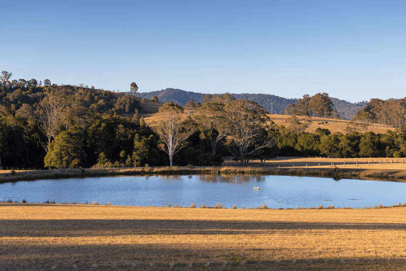 1221 Manning Hill Road, BUNYAH, NSW 2429