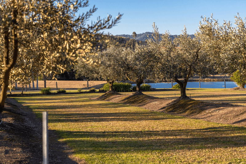 1221 Manning Hill Road, BUNYAH, NSW 2429