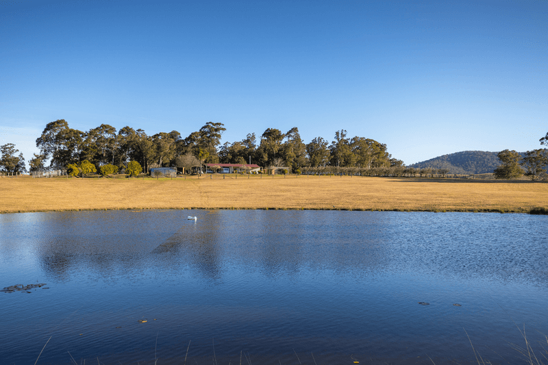 1221 Manning Hill Road, BUNYAH, NSW 2429