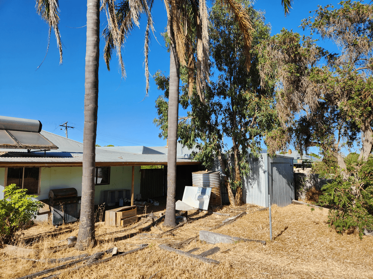 9 Newstead Road, KOJONUP, WA 6395