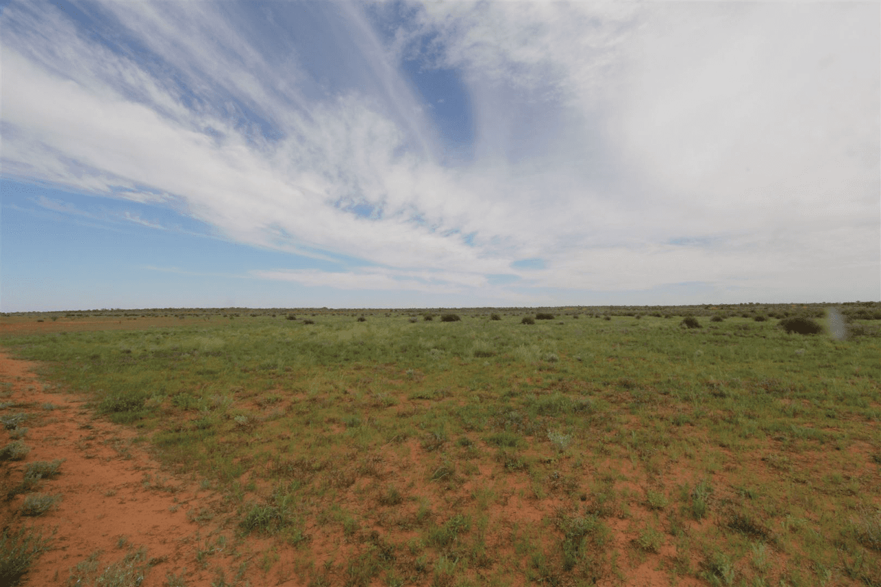 . Lake Stewart Station, Tibooburra, NSW 2880