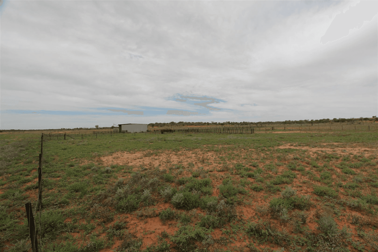 . Lake Stewart Station, Tibooburra, NSW 2880