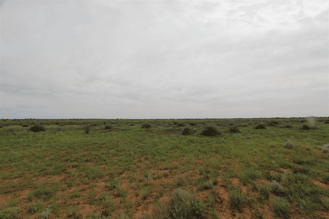 . Lake Stewart Station, Tibooburra, NSW 2880