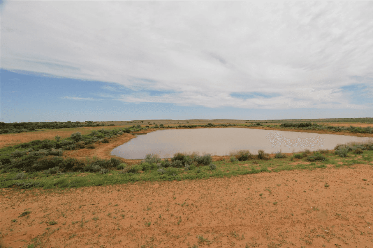 . Lake Stewart Station, Tibooburra, NSW 2880