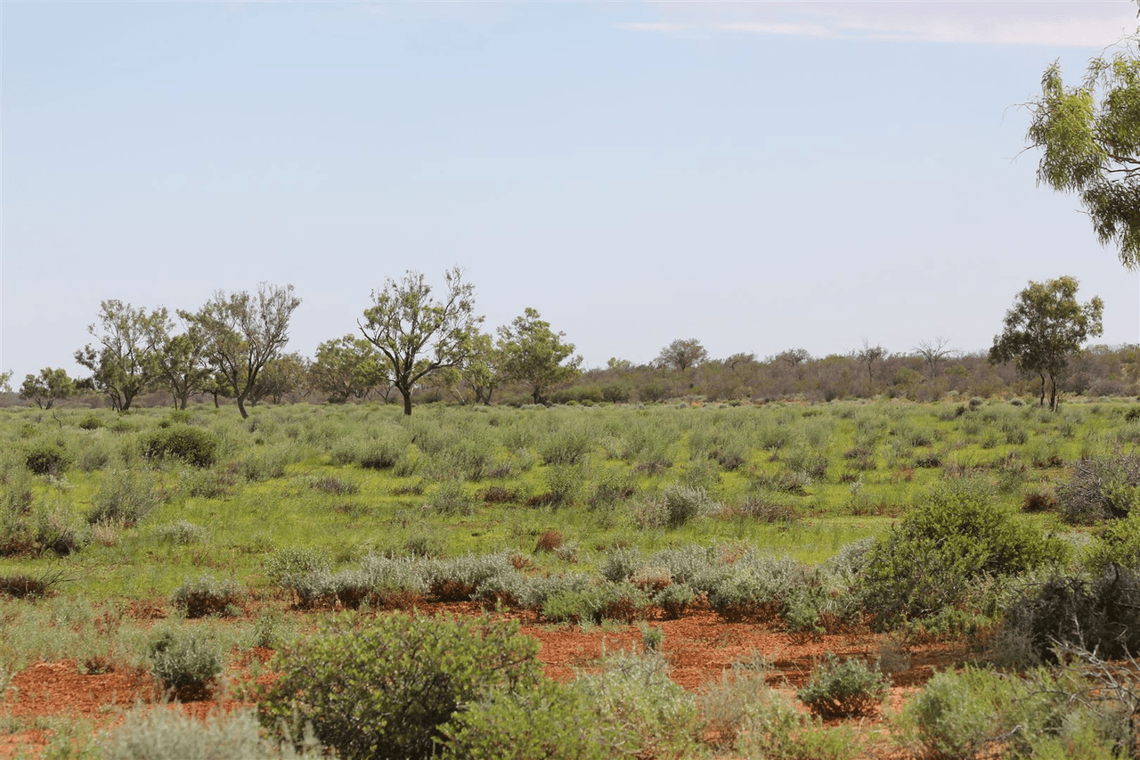 . Lake Stewart Station, Tibooburra, NSW 2880