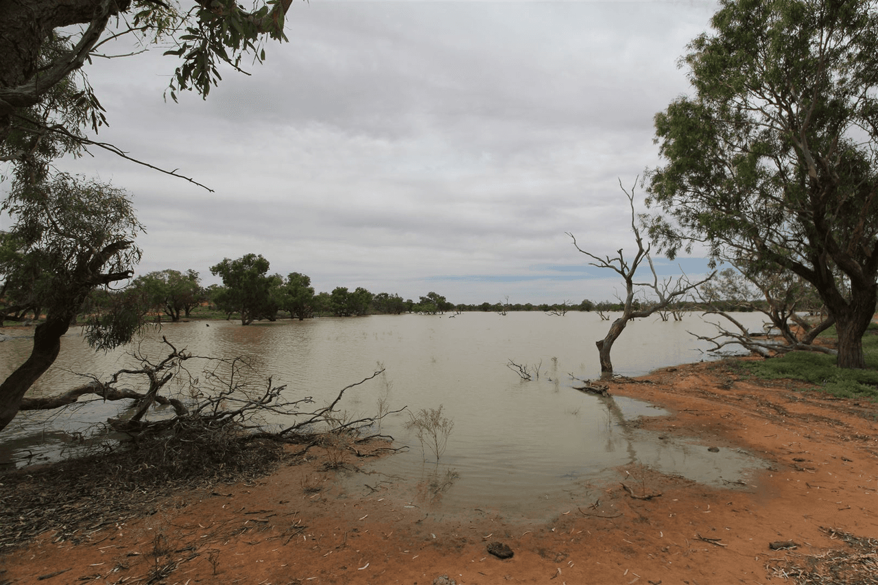 . Lake Stewart Station, Tibooburra, NSW 2880