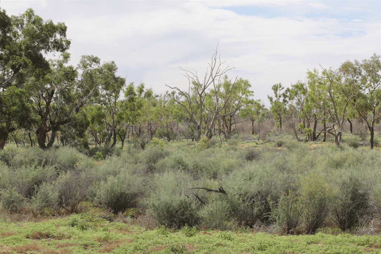 . Lake Stewart Station, Tibooburra, NSW 2880