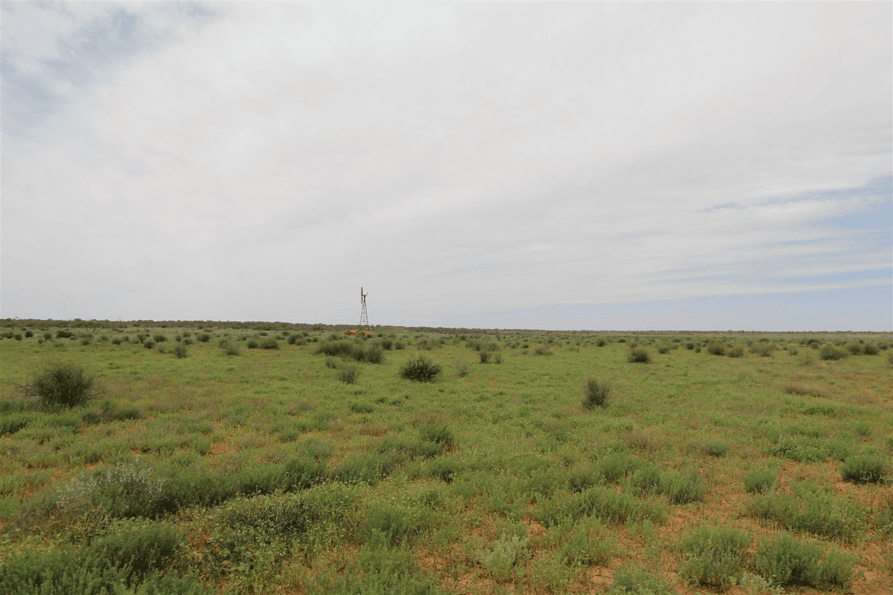 . Lake Stewart Station, Tibooburra, NSW 2880