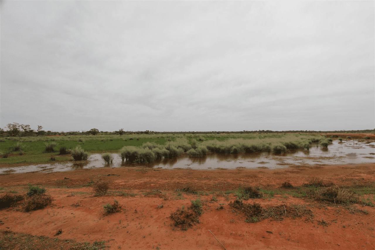 . Lake Stewart Station, Tibooburra, NSW 2880