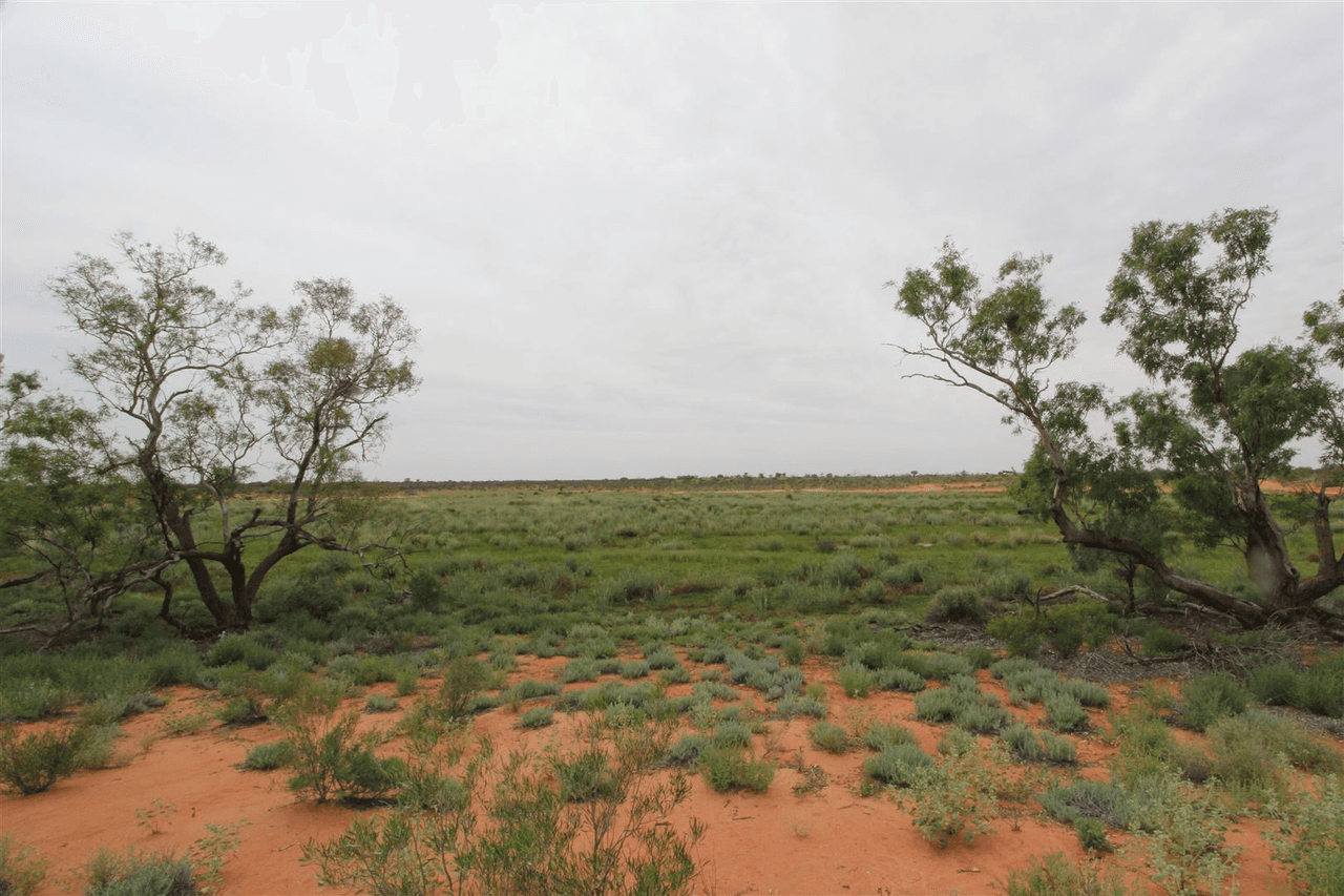 . Lake Stewart Station, Tibooburra, NSW 2880