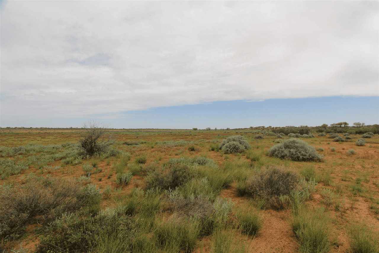 . Lake Stewart Station, Tibooburra, NSW 2880