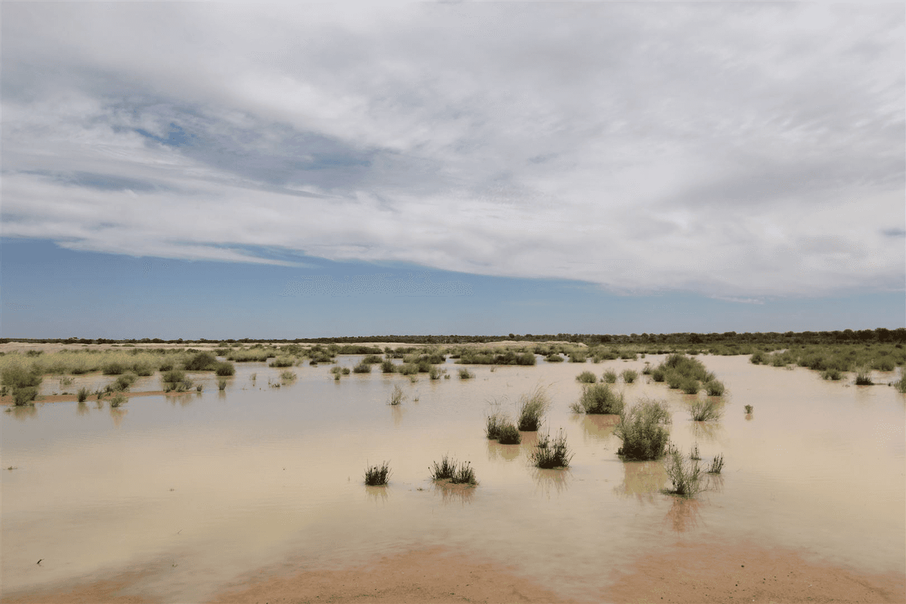 . Lake Stewart Station, Tibooburra, NSW 2880