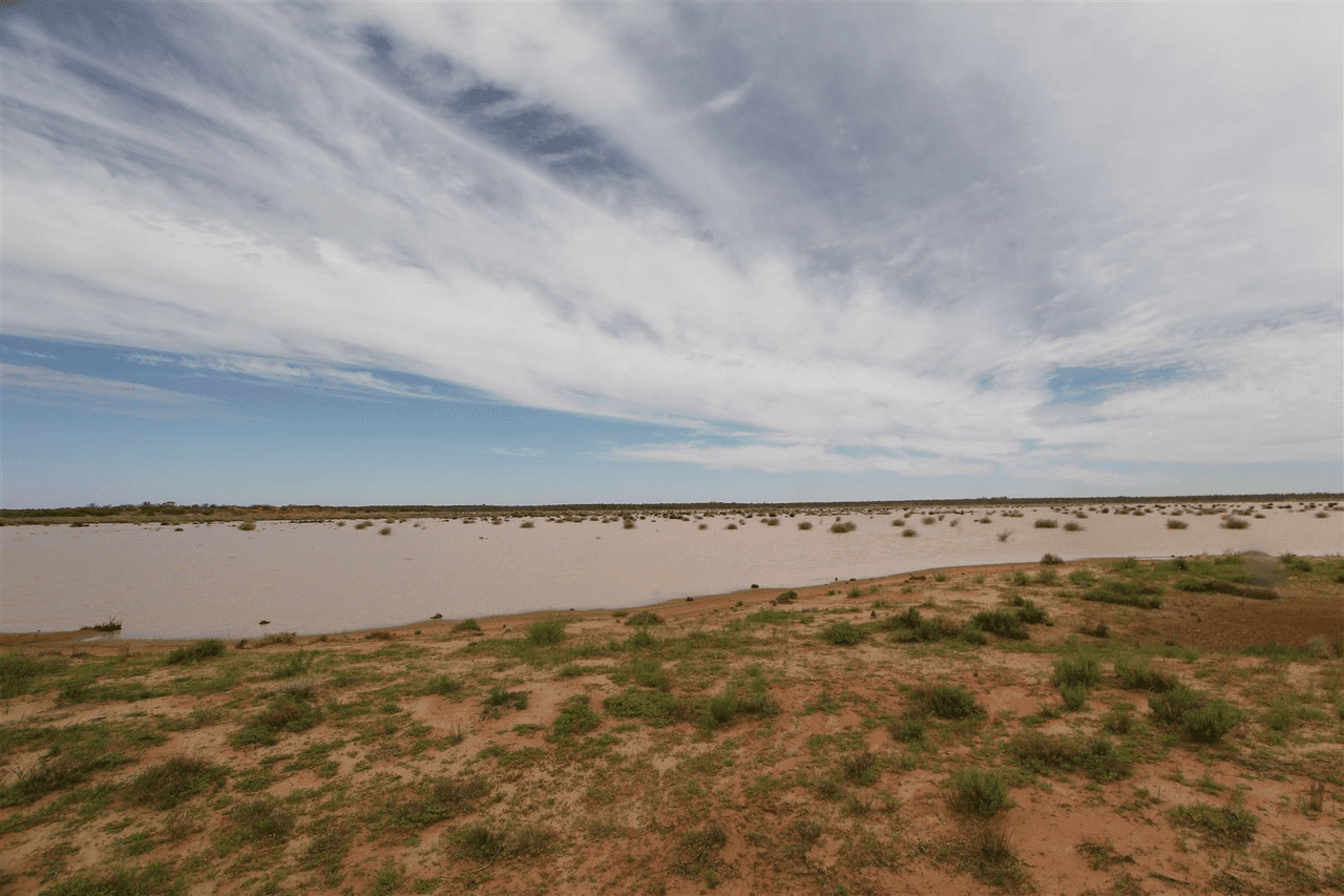 . Lake Stewart Station, Tibooburra, NSW 2880